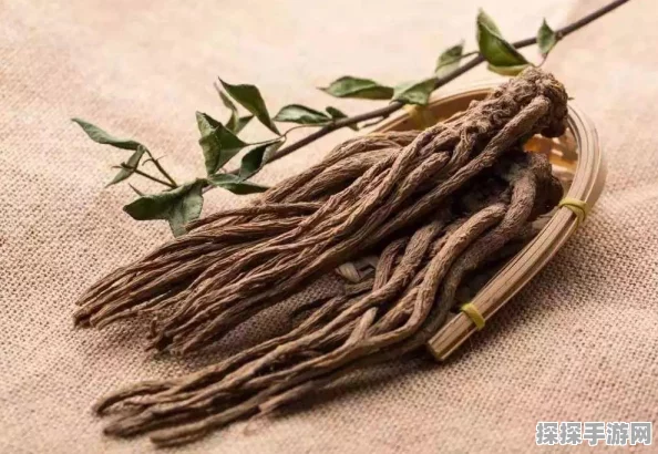 DNF传说装备分解攻略，揭秘哪个部位最值得换取并分解