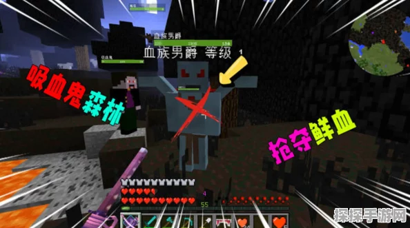 我的世界吸血鬼森林探险指南，解锁神秘领域的新篇章