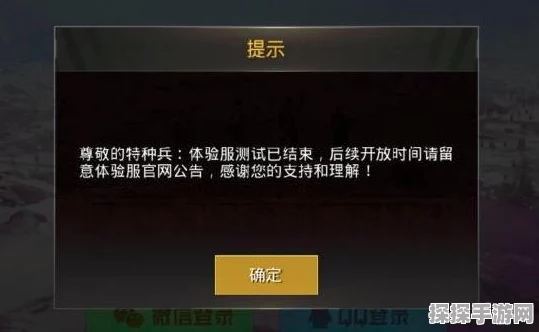 和平精英V字名牌认证全攻略，解锁游戏新荣耀