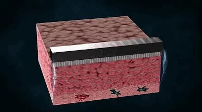 重生细胞全钥匙获取与使用指南