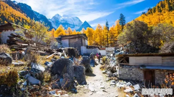 碧蓝航线神圣的悲喜剧新船属性深度解析