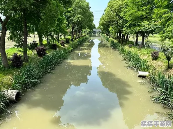 江南百景图松江府梦幻布局指南，打造你的理想水乡世界