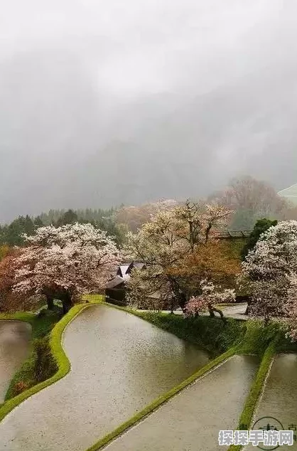 烟雨江湖全新烹饪秘笈曝光，江湖美食烟雨即将掀起美食风暴