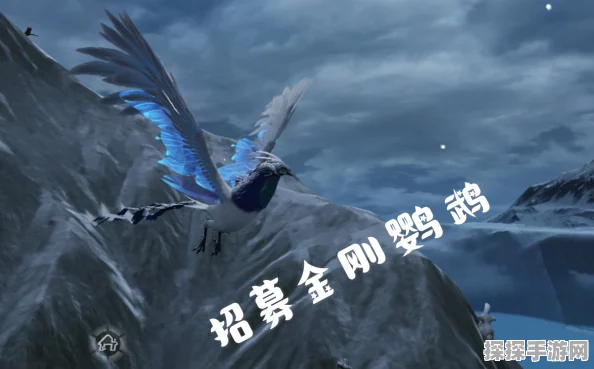 手游资讯，妄想山海鹦鹉招募攻略全面解析