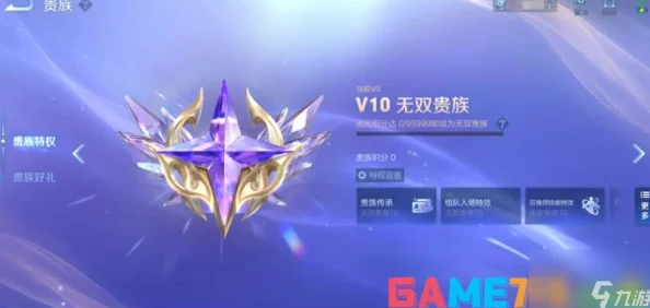 王者荣耀无双贵族传承，尊享特权与荣耀之路的深度解析