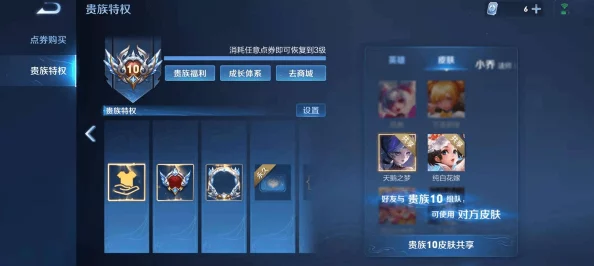 王者荣耀无双贵族传承，尊享特权与荣耀之路的深度解析