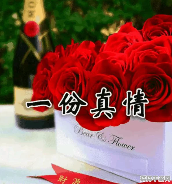 无限暖暖新手教程全解析，助你快速上手，畅享时尚之旅