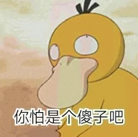 宝可梦大探险全面攻略，新手必看，轻松上手的游戏指南