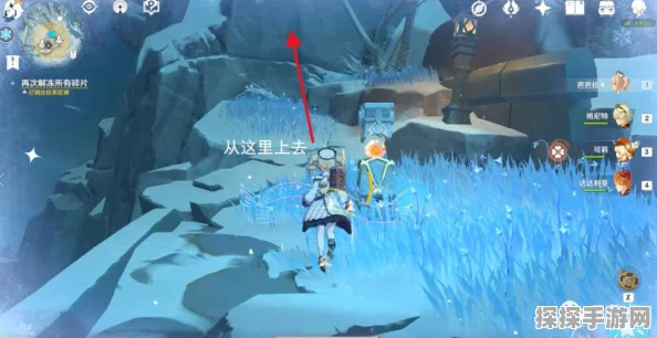 原神霜覆的奇迹之树挑战全攻略