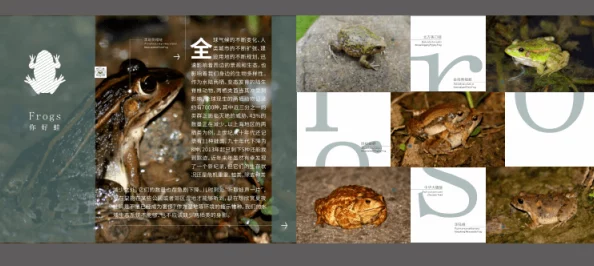 探索最强蜗牛扶桑博物馆，揭秘藏品之谜，共赴深度文化之旅