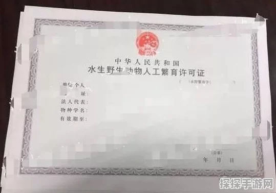 手游资讯，动物餐厅酒蒸蛤蜊涨价许可证解锁配方揭秘