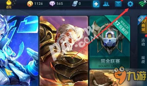 王者荣耀查阅权限设置详解，掌握个性化游戏体验的关键
