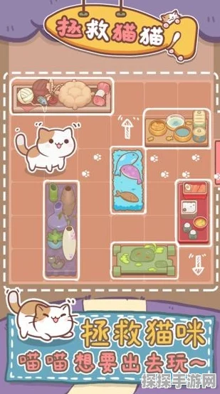 洛克王国手游资讯，拯救小猫咪活动编号及玩法详解