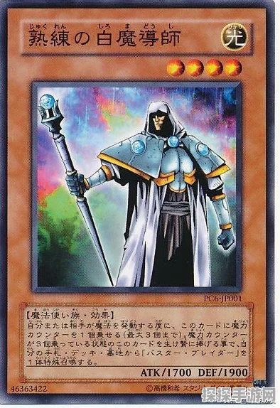 魔力宝贝手机版，剑士新手速成攻略，解锁战斗新境界