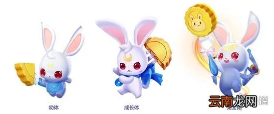 QQ飞车手游新宠月兔萌动来袭，全方位解析获取攻略