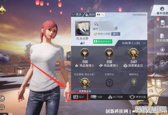 和平精英男女角色更换方法详解，轻松打造个性化游戏形象