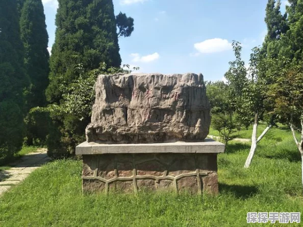 手游资讯，食物语登高游春10层突破通关阵容深度解析
