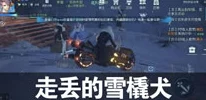 龙族幻想手游新任务攻略，走丢的雪橇犬任务详解