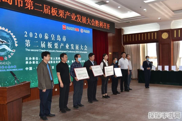DNF手游玩家必看，青龙大会全新攻略与资讯速递