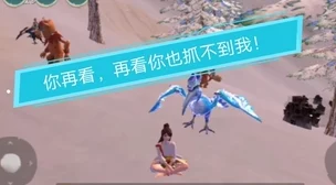 探索创造与魔法北境犀鸟刷新时间规律，揭秘捕捉神秘生物的独家秘籍