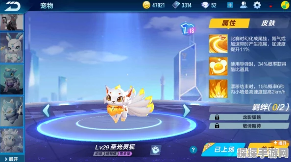 QQ飞车手游宠物系统全攻略