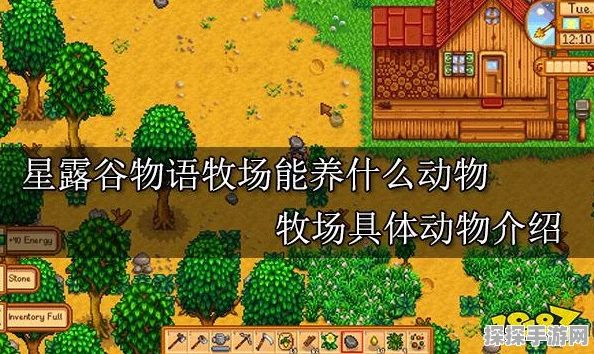 星露谷物语，动物养殖全攻略，助你成为动物饲养大师