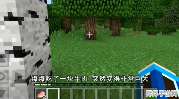 手游资讯，探索我的世界生牛肉烹饪秘籍与高效获取攻略