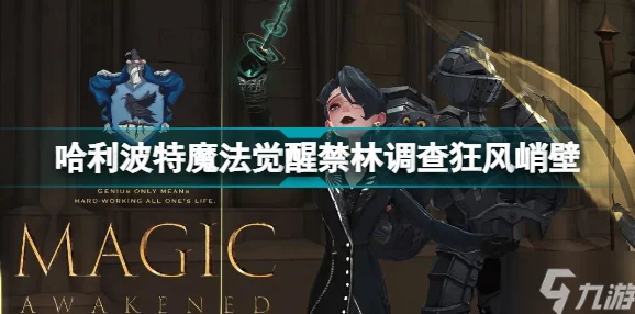 哈利波特，魔法觉醒金四狂风峭壁通关全攻略