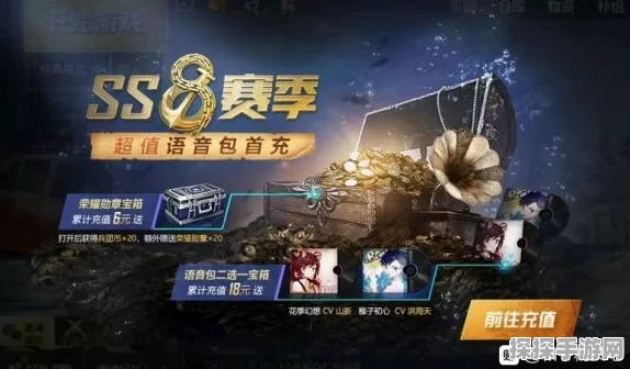 和平精英赏金粽霸赛参赛指南，解锁夏日激战新篇章