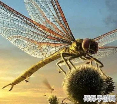 手游资讯，方舟高效刷金属攻略大揭秘