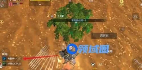 手游资讯，妄想山海青菩果位置全解析