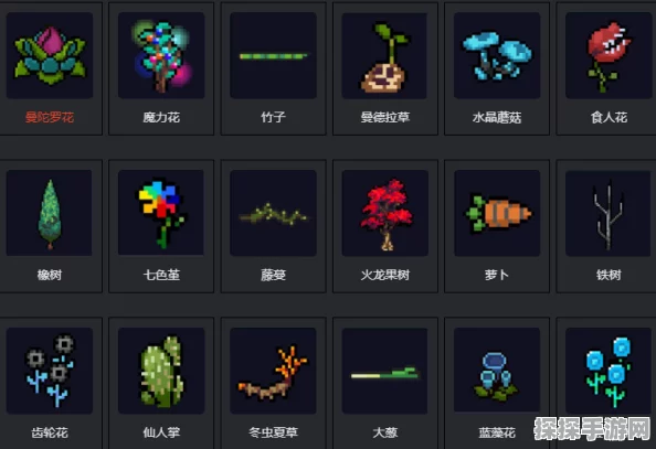 揭秘！元气骑士三持天赋背后的神秘植物——妙妙花