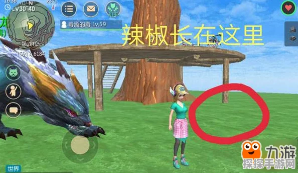 创造与魔法远洋岛探秘，独角兽捕捉地惊喜曝光，探险之旅即刻开启！
