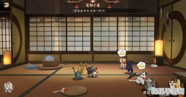 阴阳师手游新版本爆料，神秘宠物携御魂加成探索玩法上线