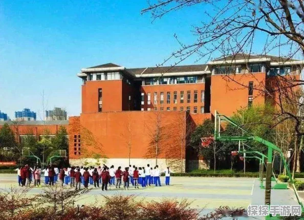 原神探索新境界，揭秘特殊权能的奥秘与影响