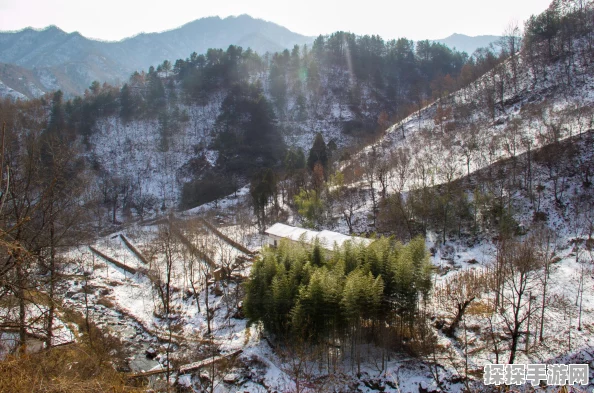 手游资讯，探索冰雪世界，十大经典雪游戏排行榜揭晓