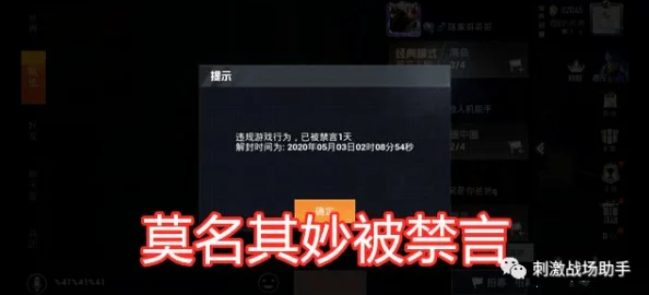 和平精英禁麦时长揭秘，重获语音交流自由的倒计时