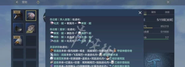 手游资讯，妄想山海千乘页面装备卸载指南