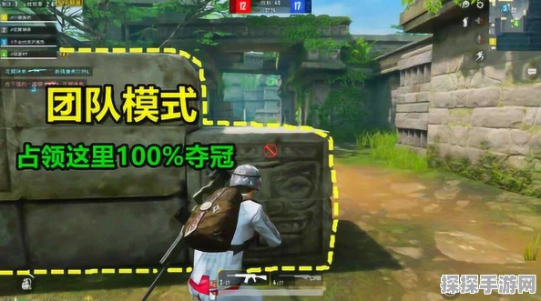 和平精英团队模式高难度玩法攻略，突破极限，赢得不可思议的胜利