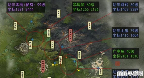 烟雨江湖新增探险地图，安平村深度探索指南