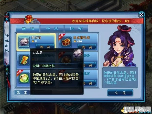 神雕侠侣手游光武白虎任务深度解析与玩法指南