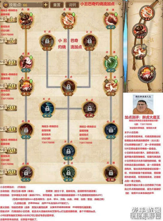 航海王燃烧意志巴奇全面解析，技能加点推荐及最新玩法揭秘