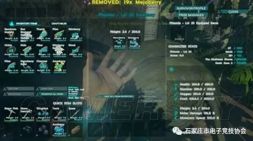 方舟生存进化大逃杀模式，房屋建造地址选择策略深度解析