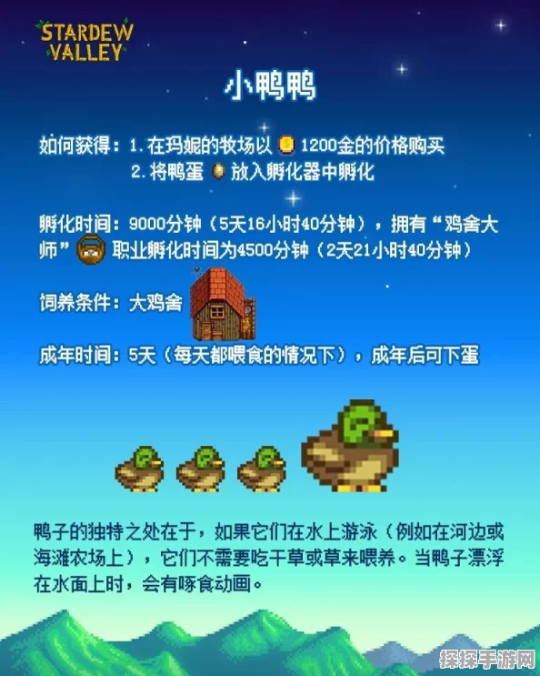 手游资讯，星露谷物语中鸭毛获取全攻略