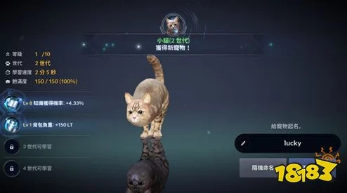 黑色沙漠手游宠物狗获取全攻略