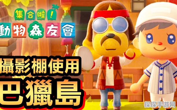 手游资讯，探索动物森友会巴猎岛的丰富资源