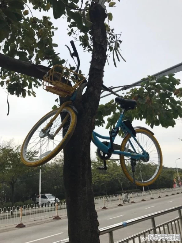 轻功之巅，探寻放置江湖最强门派轻功的奥秘