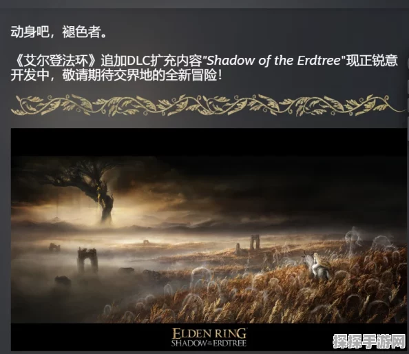 手游资讯，艾尔登法环共享功能详解及玩家期待