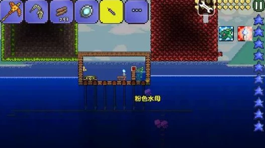 泰拉瑞亚黑暗之魂获取全攻略