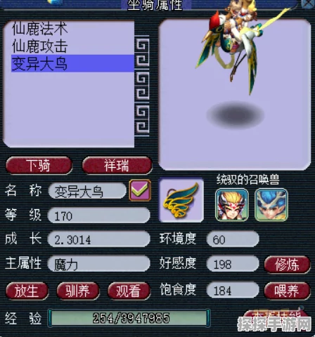 梦幻西游三维版坐骑获取全攻略，解锁你的专属骑宠
